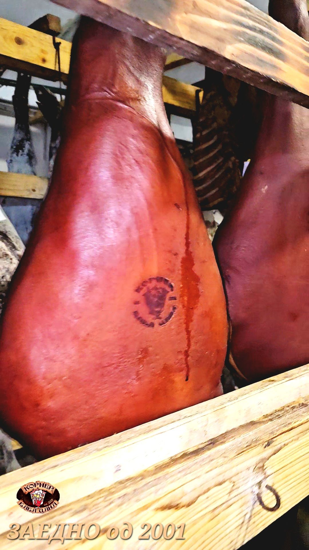 Домашен свински пршут