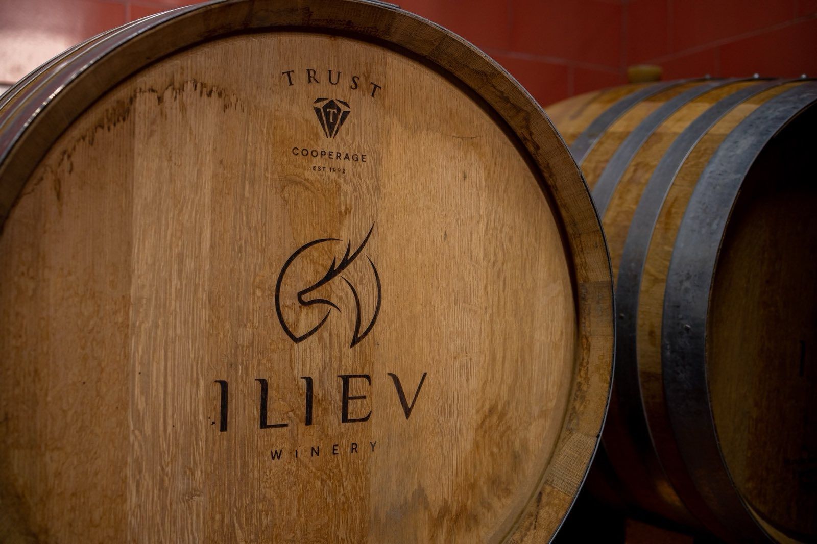 Успешна македонска приказна – Винарија Илиев  